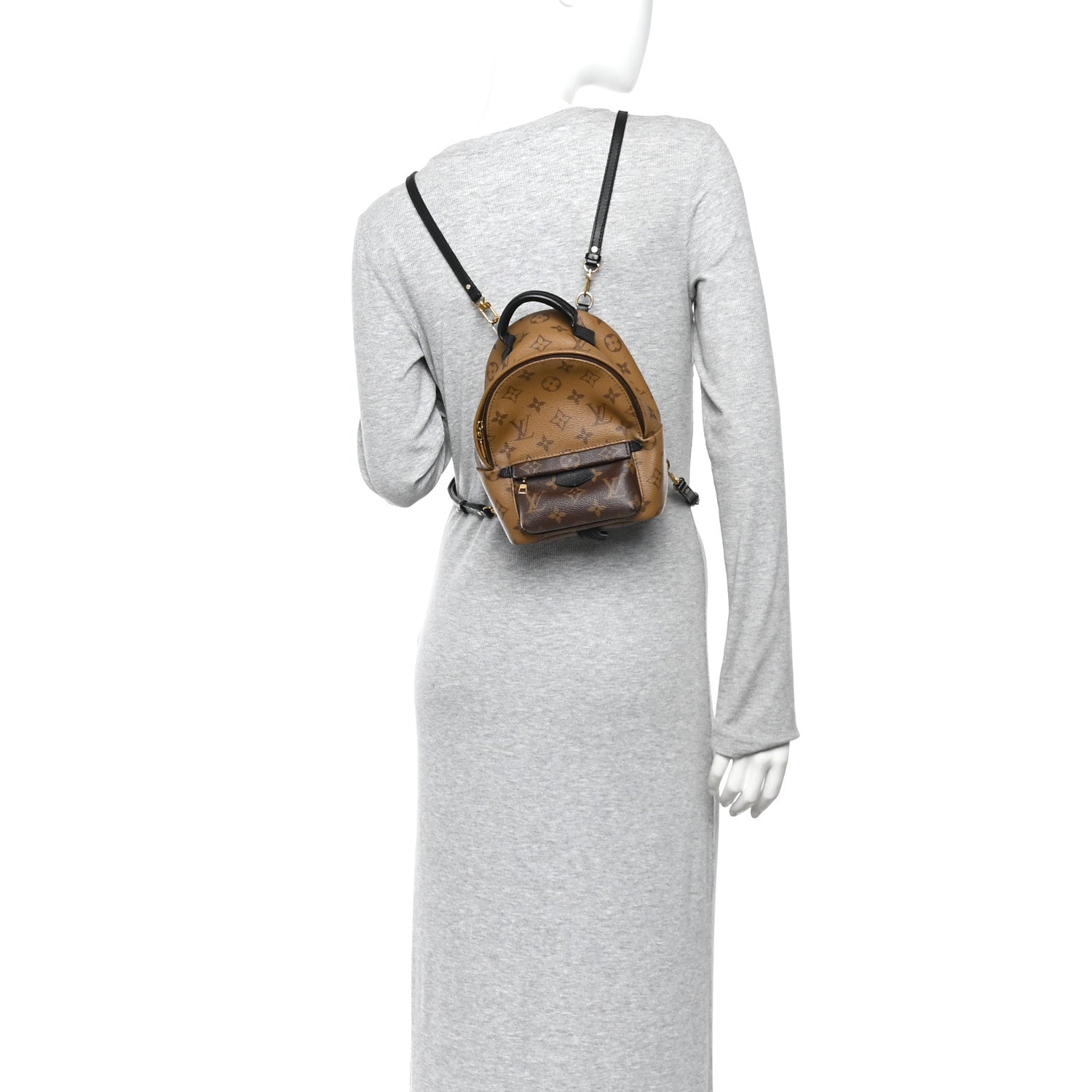 Reverse Monogram Palm Springs Backpack Mini