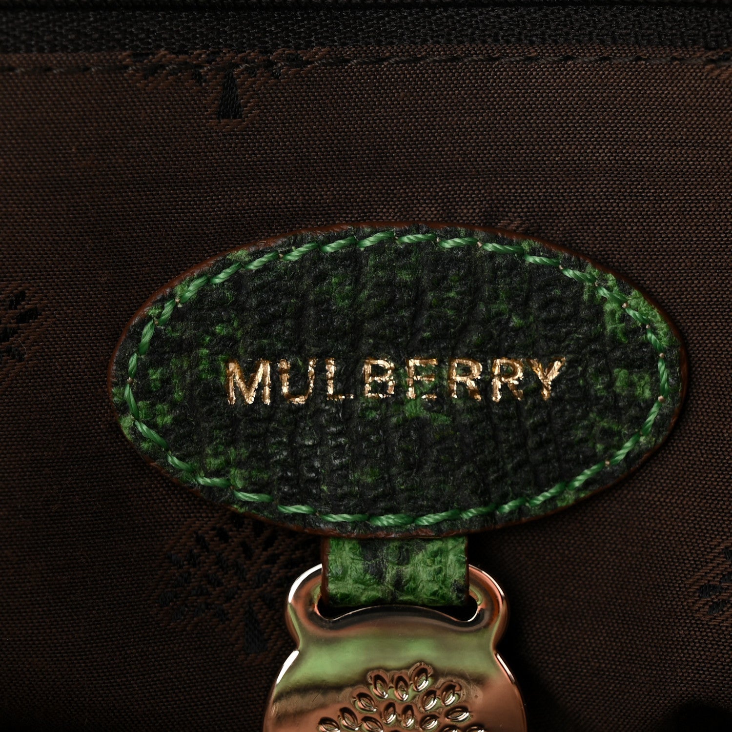 Lizard Print Camera Bag Grass Green