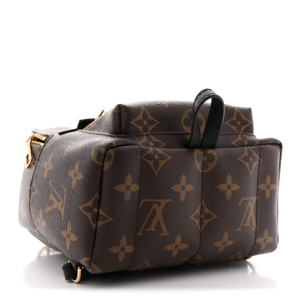Monogram Palm Springs Backpack Mini