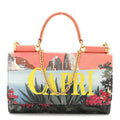 Dauphine Capri Printed Mini Von Bag Multicolor