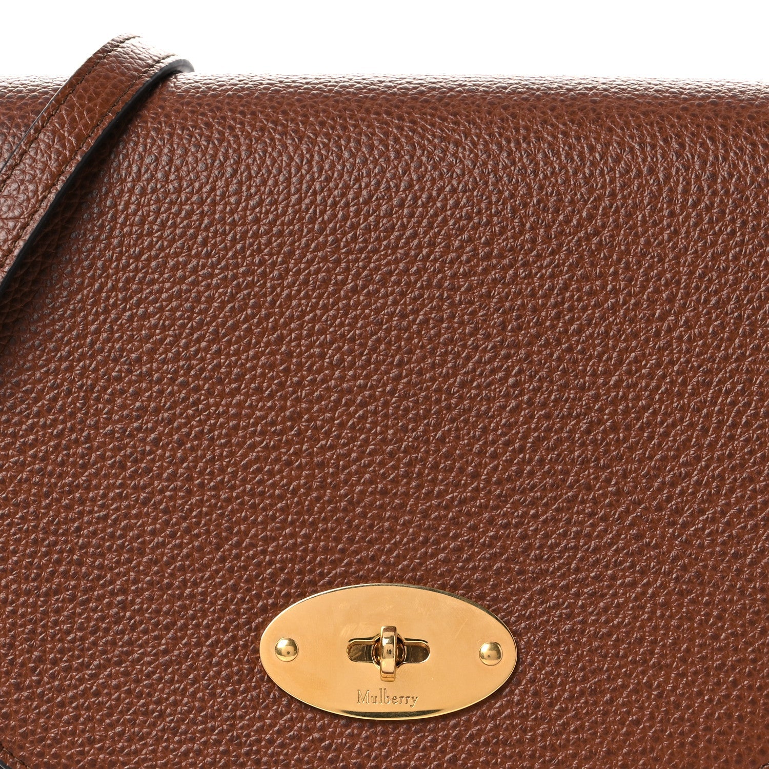 Natural Grained Calfskin Small Darley Satchel Oak