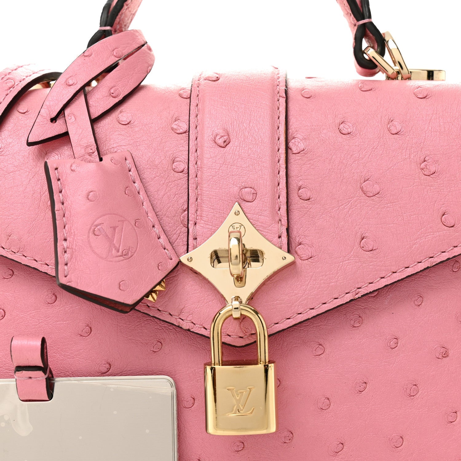 Ostrich Rose Des Vents Mini Pink