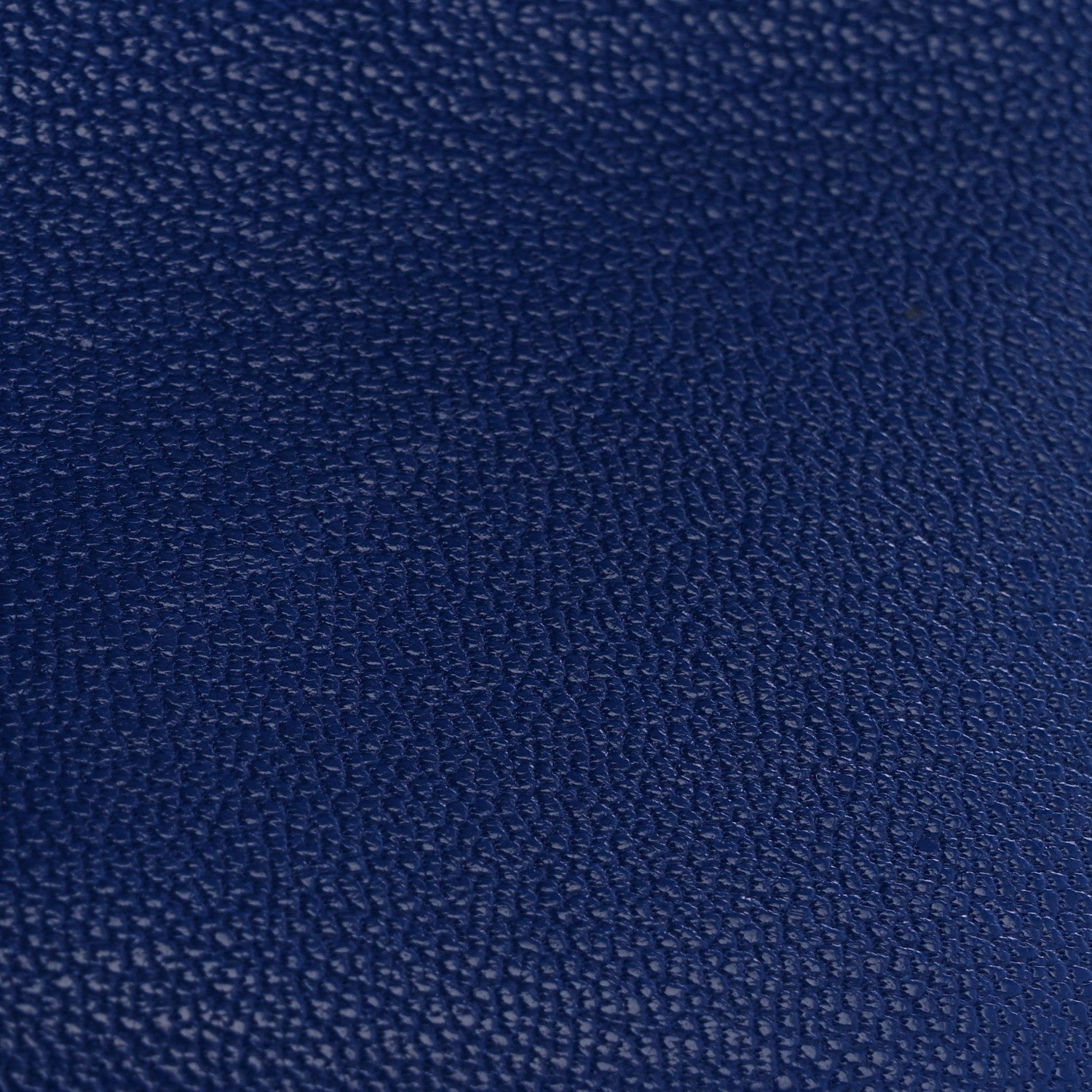 Chevre Chamkila Calvi  Case Bleu Electrique