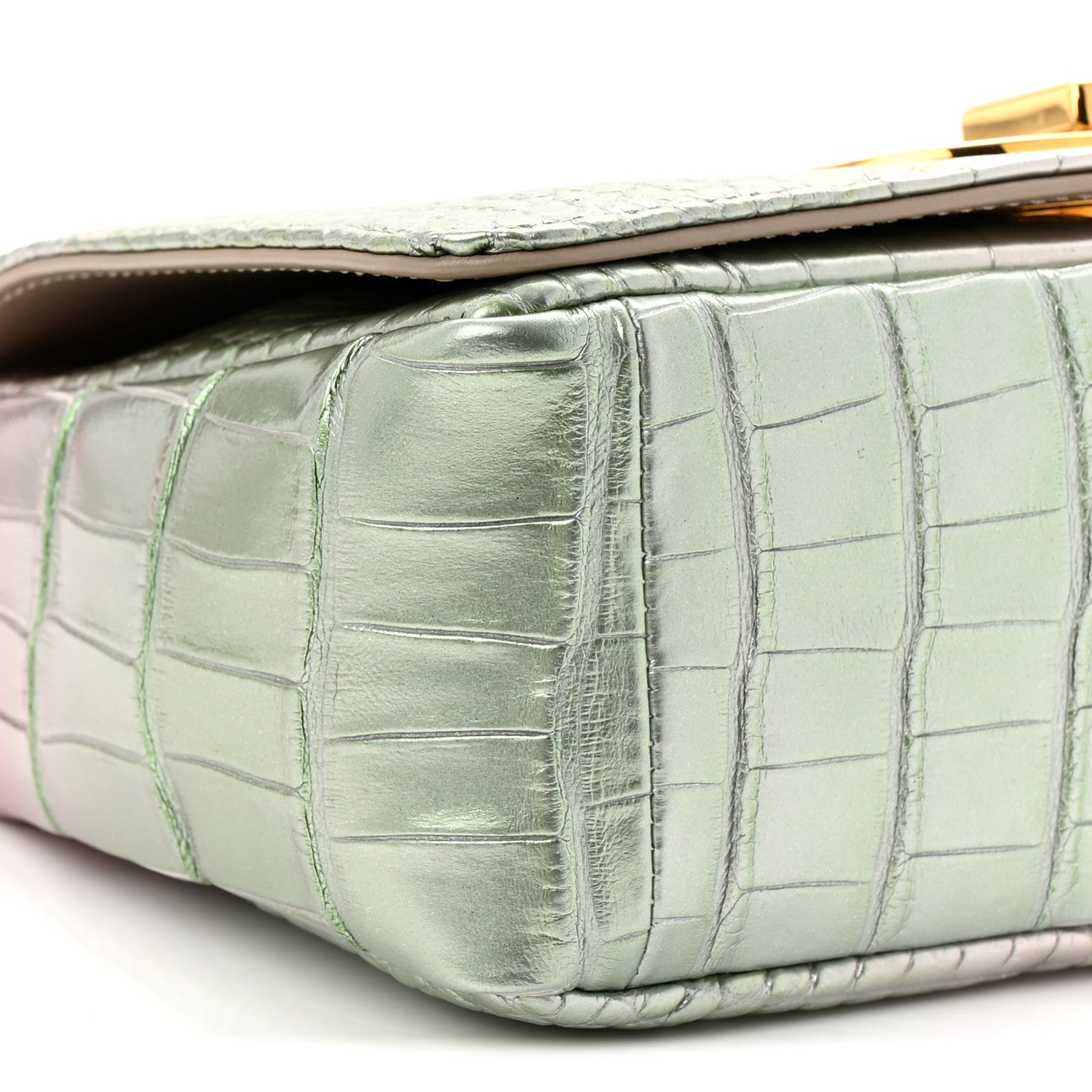 Metallic Alligator Small Caro Bag Multicolor