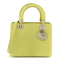 Snakeskin Medium Lady Dior Green