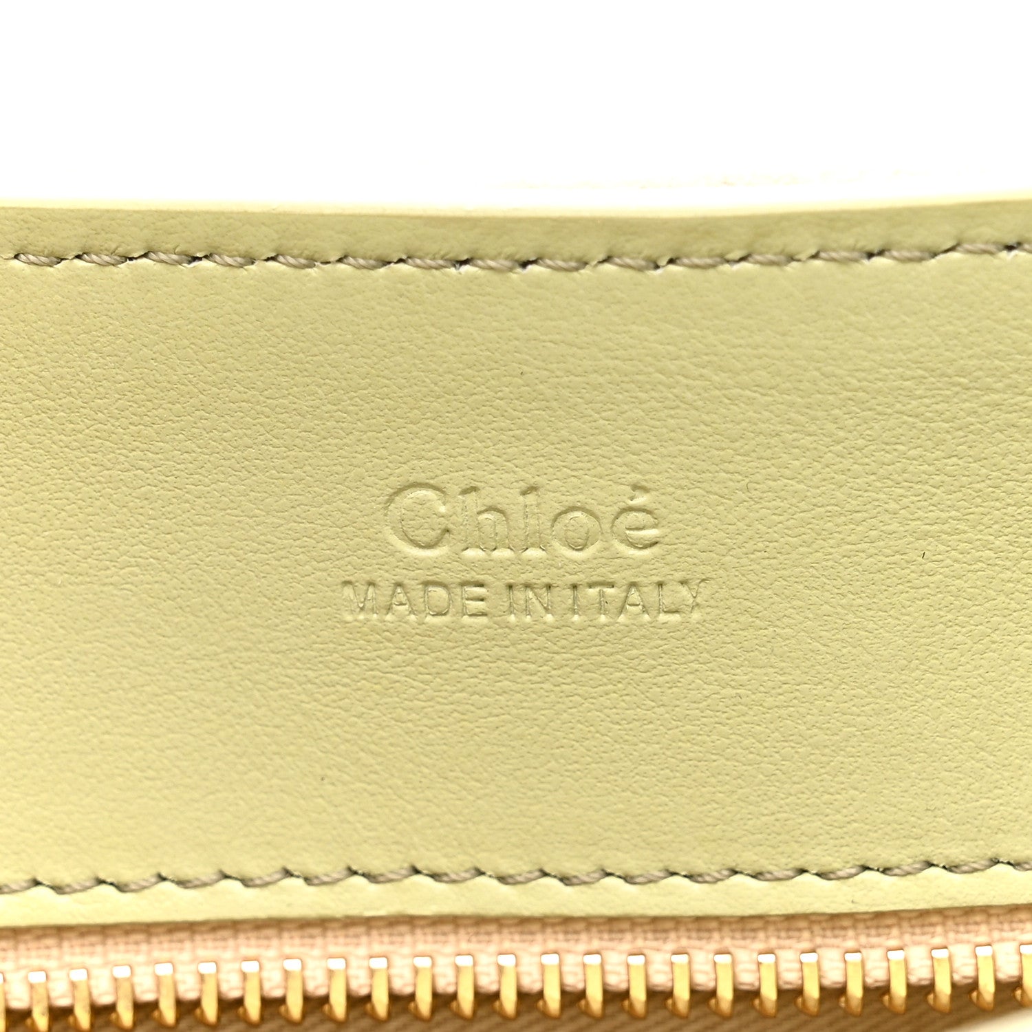 Calfskin Mini Tess Day Bag Light Eucalyptus