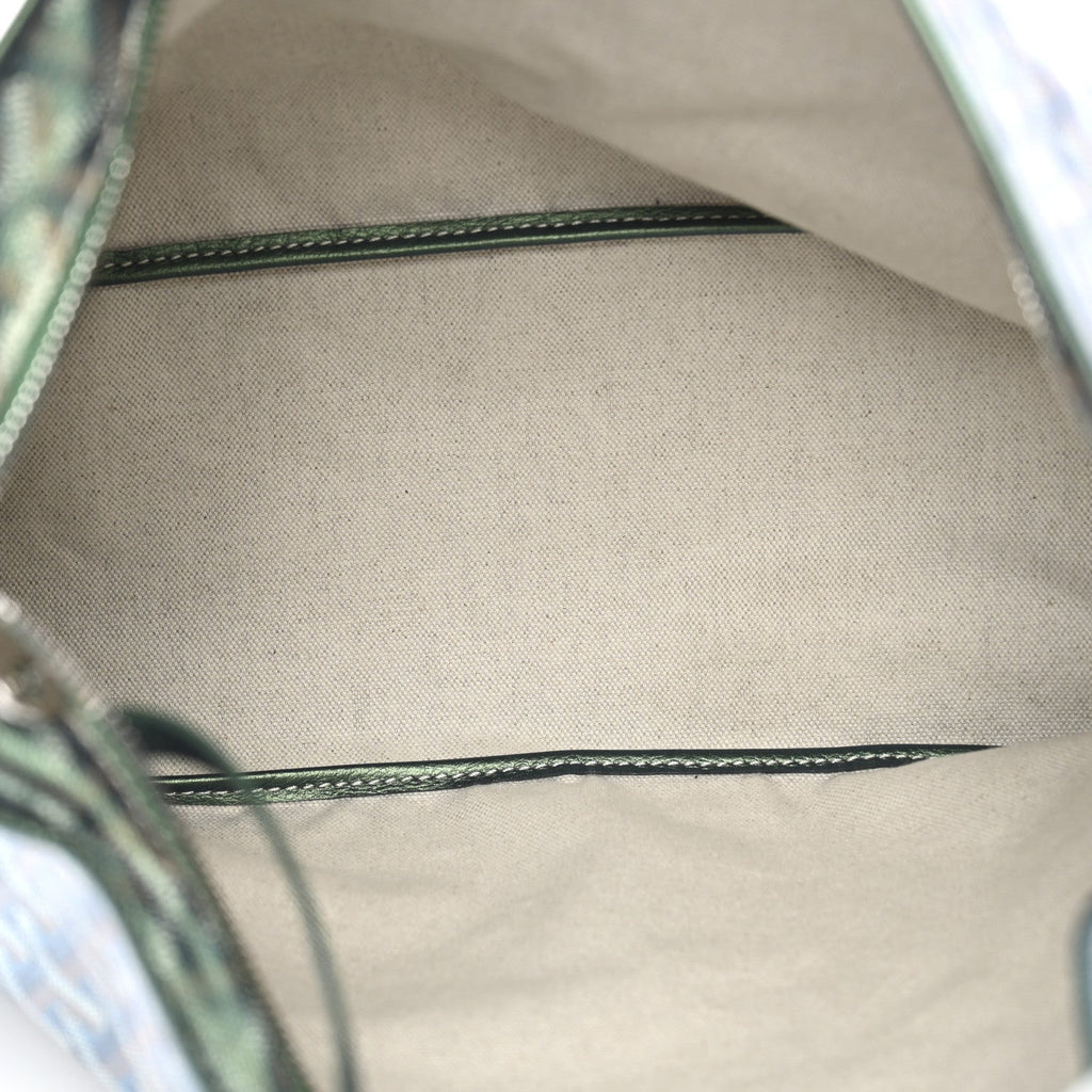 Iridescent Goyardine Boheme Hobo Pearly Green