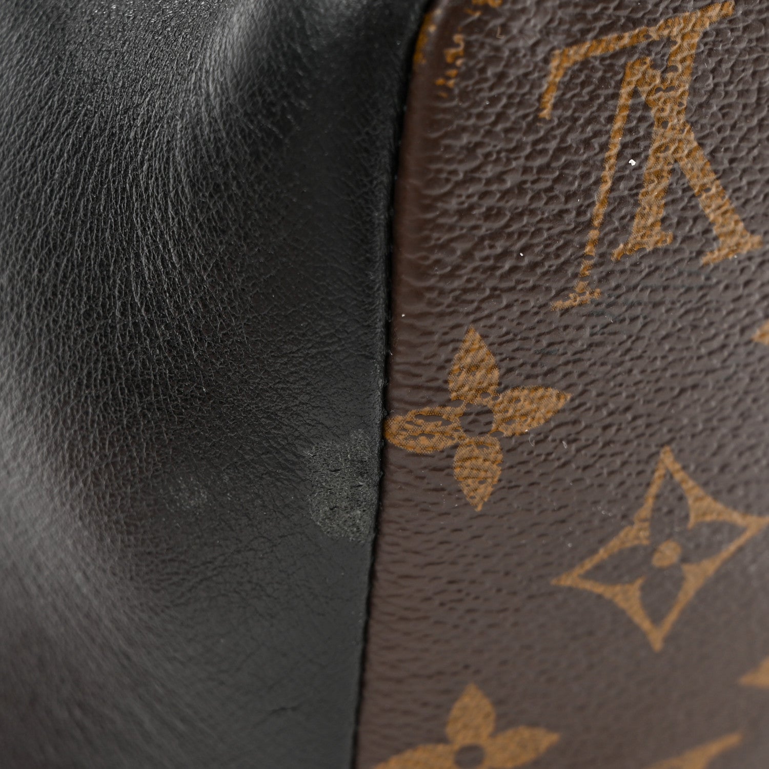 Monogram Macassar Dean Backpack