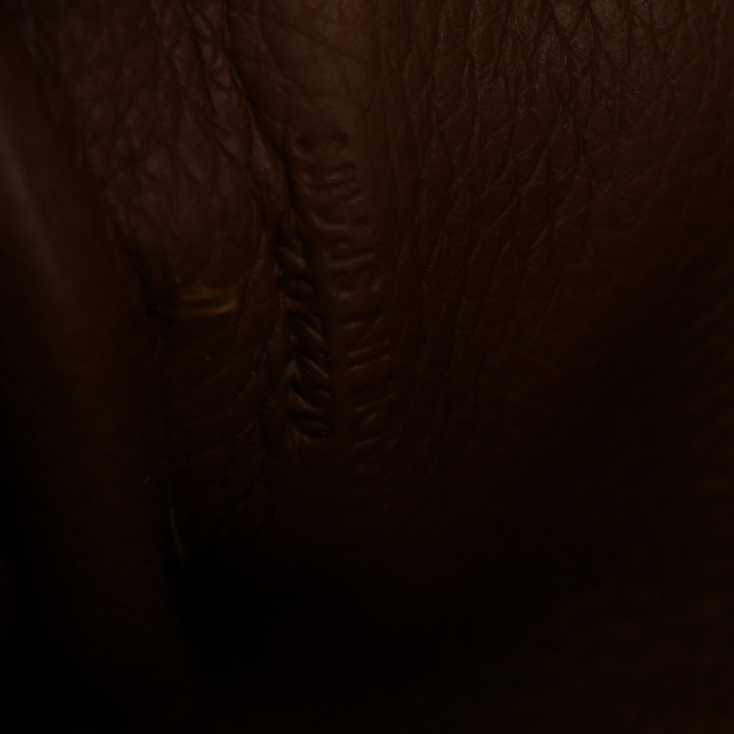 Soft Grained Calfskin Amazona 23 Cacao