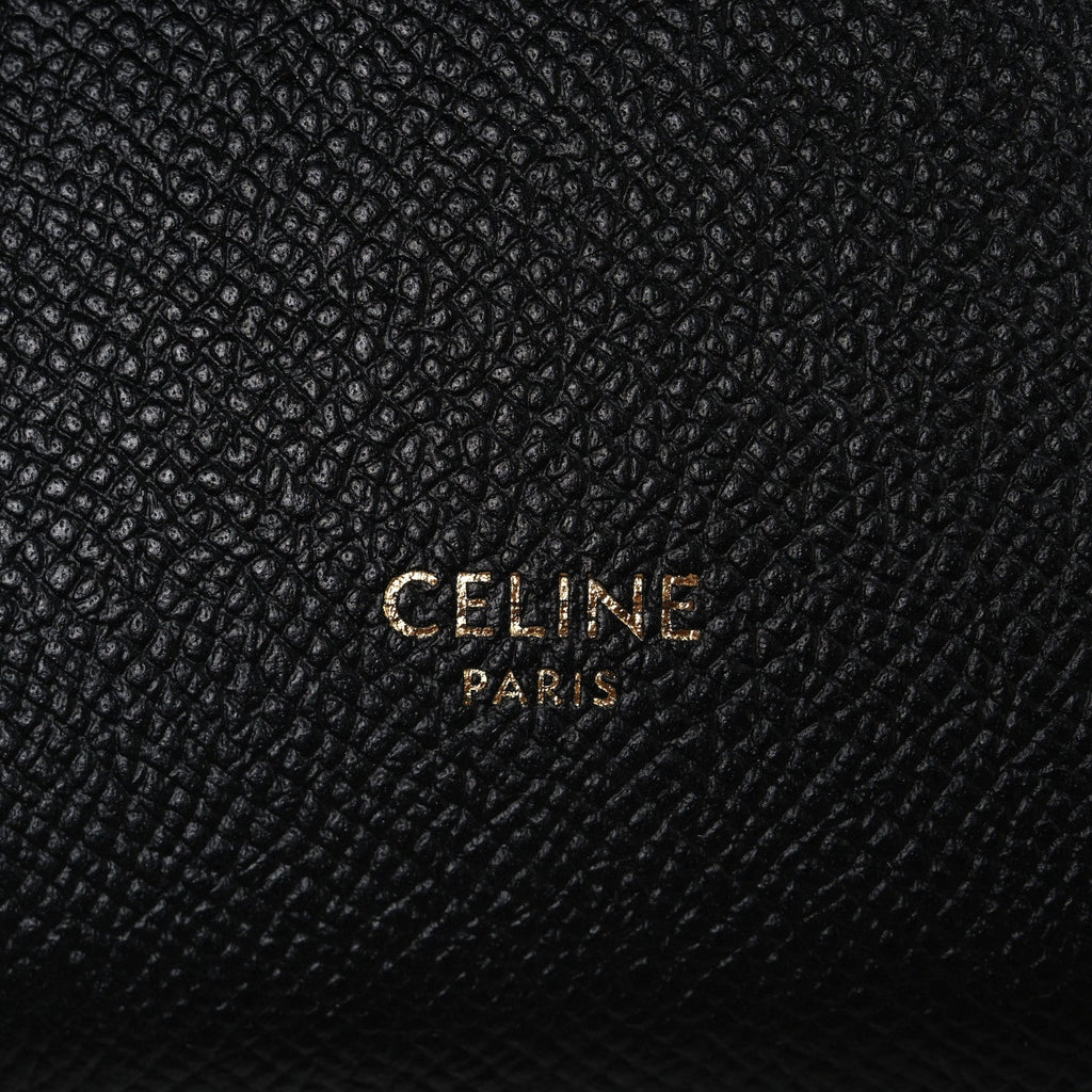 Grained Calfskin Nano Belt Bag Black