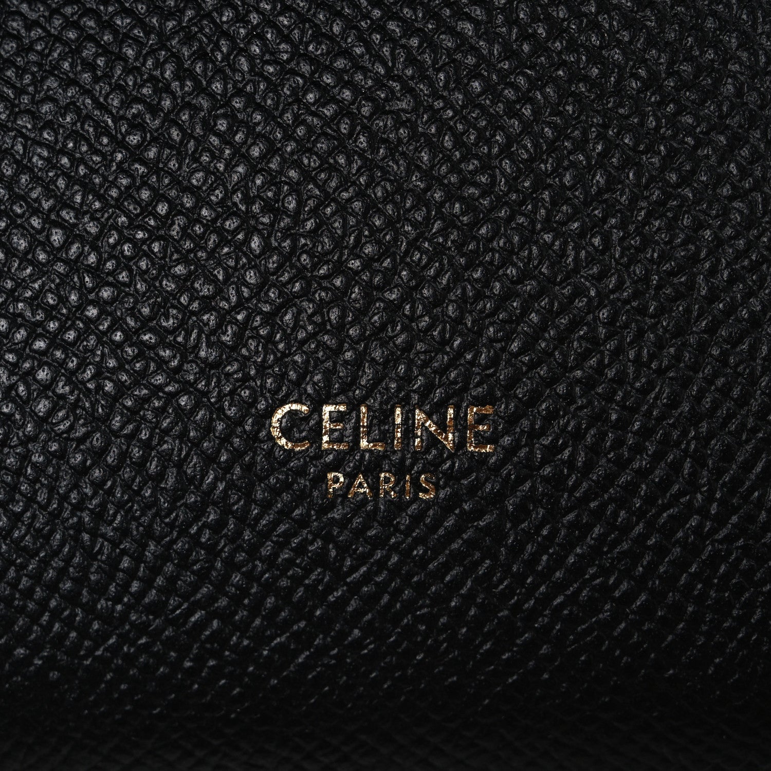 Grained Calfskin Nano Belt Bag Black