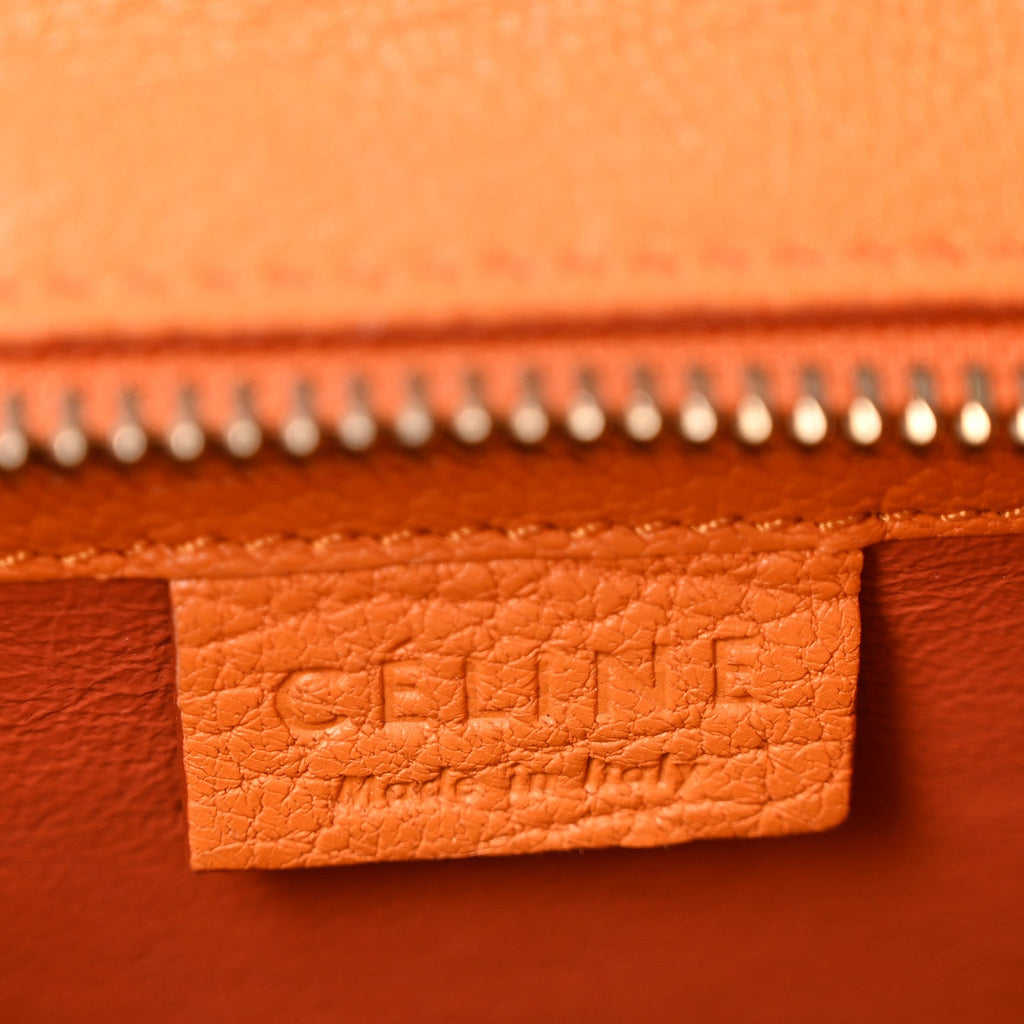 Goatskin Nano Luggage Orange