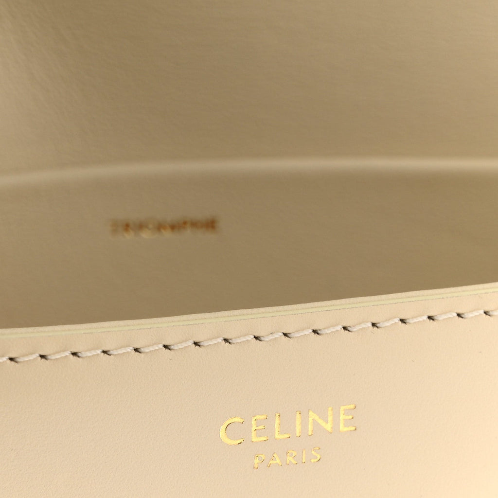 Shiny Calfskin Nano Triomphe Nude