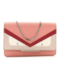 Vitello Elite Crystal Eye Monster Tube Wallet on Chain Grigio Polvere Ribes Multicolor