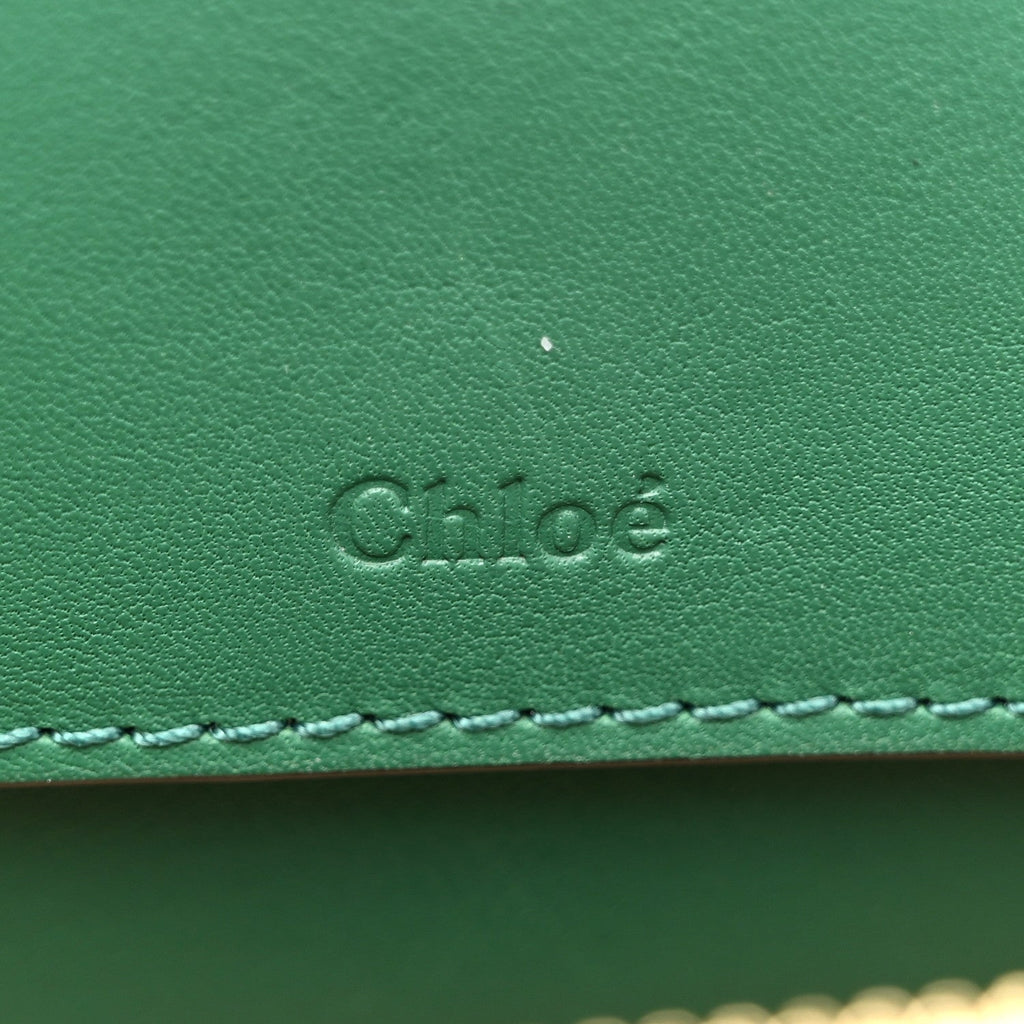 Calfskin Crocodile Embossed Mini C Vanity Bag Woodsy Green
