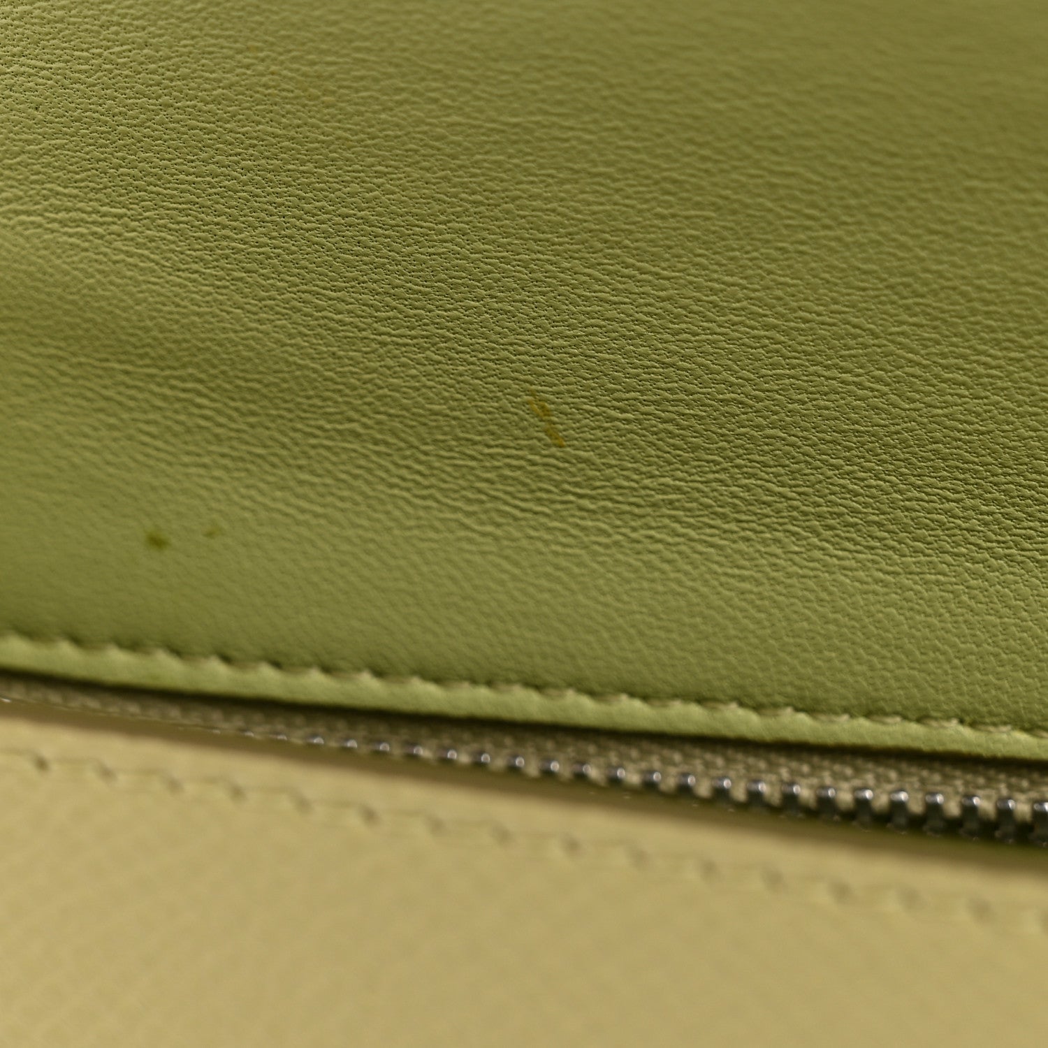 Baby Grained Calfskin Small Trotteur  Jade