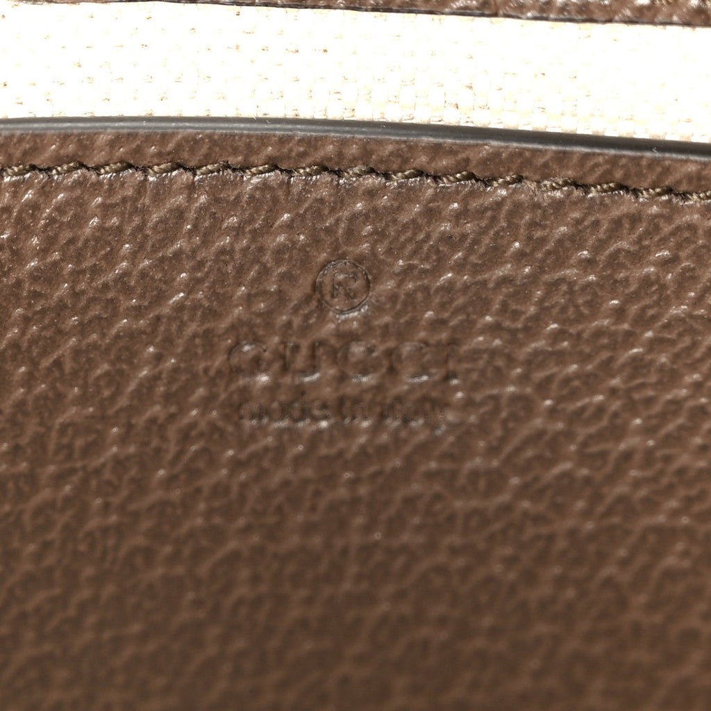 GG Supreme Monogram Textured Dollar Calfskin Mini Ophidia Chain Bag Beige Ebony