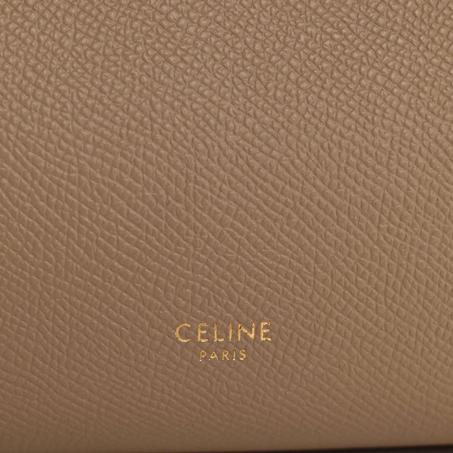 Grained Calfskin Nano Belt Bag Light Taupe
