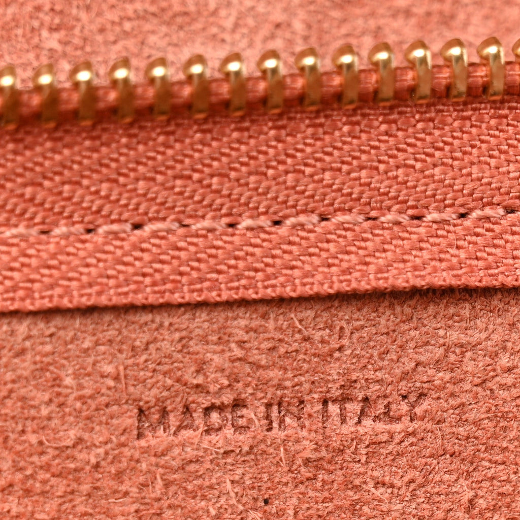 Grained Calfskin Pico Belt Bag Lychee