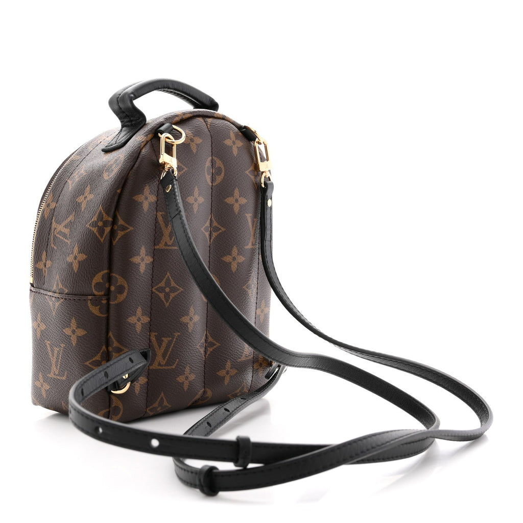 Monogram Palm Springs Backpack Mini
