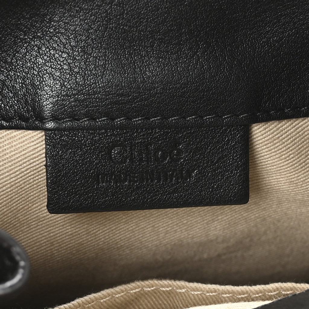 Suede Calfskin Mini Faye Backpack Black
