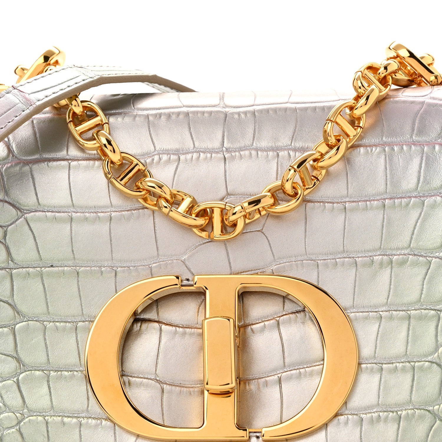Metallic Alligator Small Caro Bag Multicolor