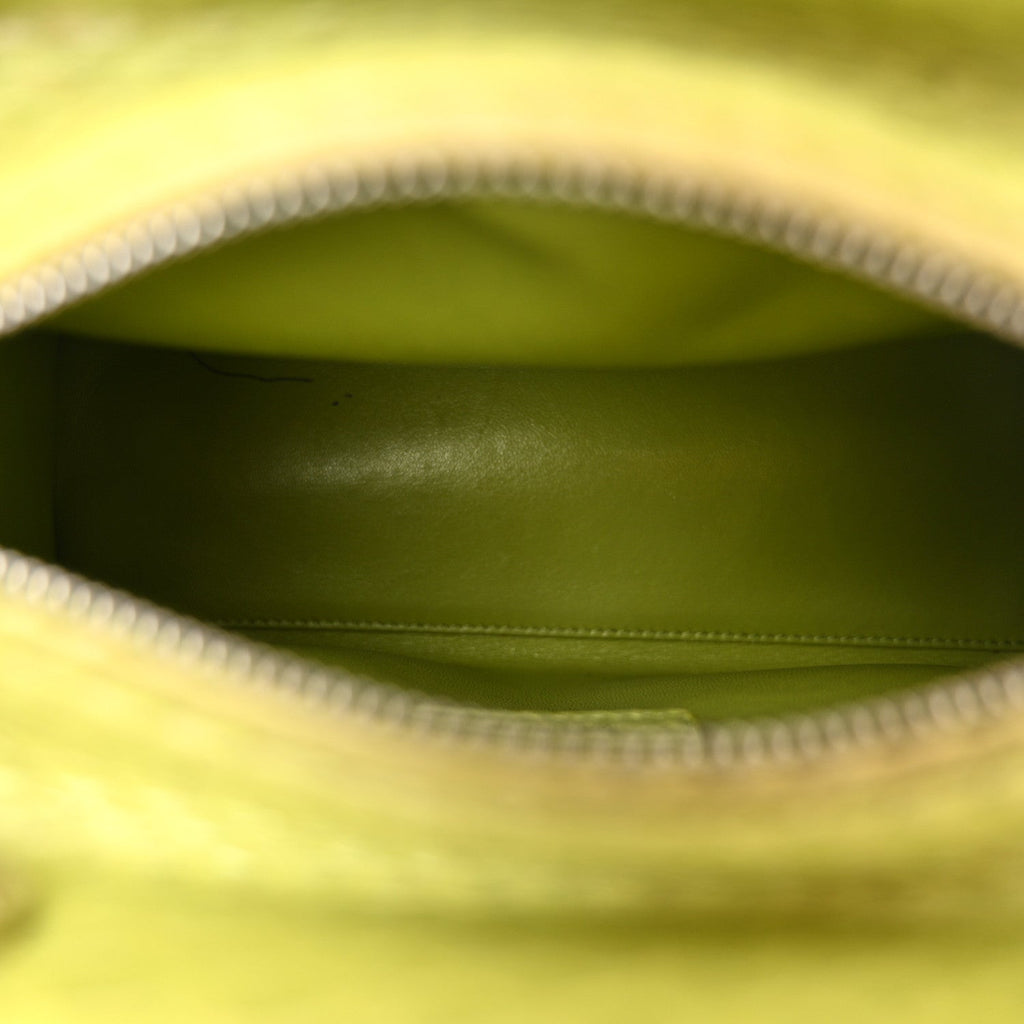 Snakeskin Medium Lady Dior Green
