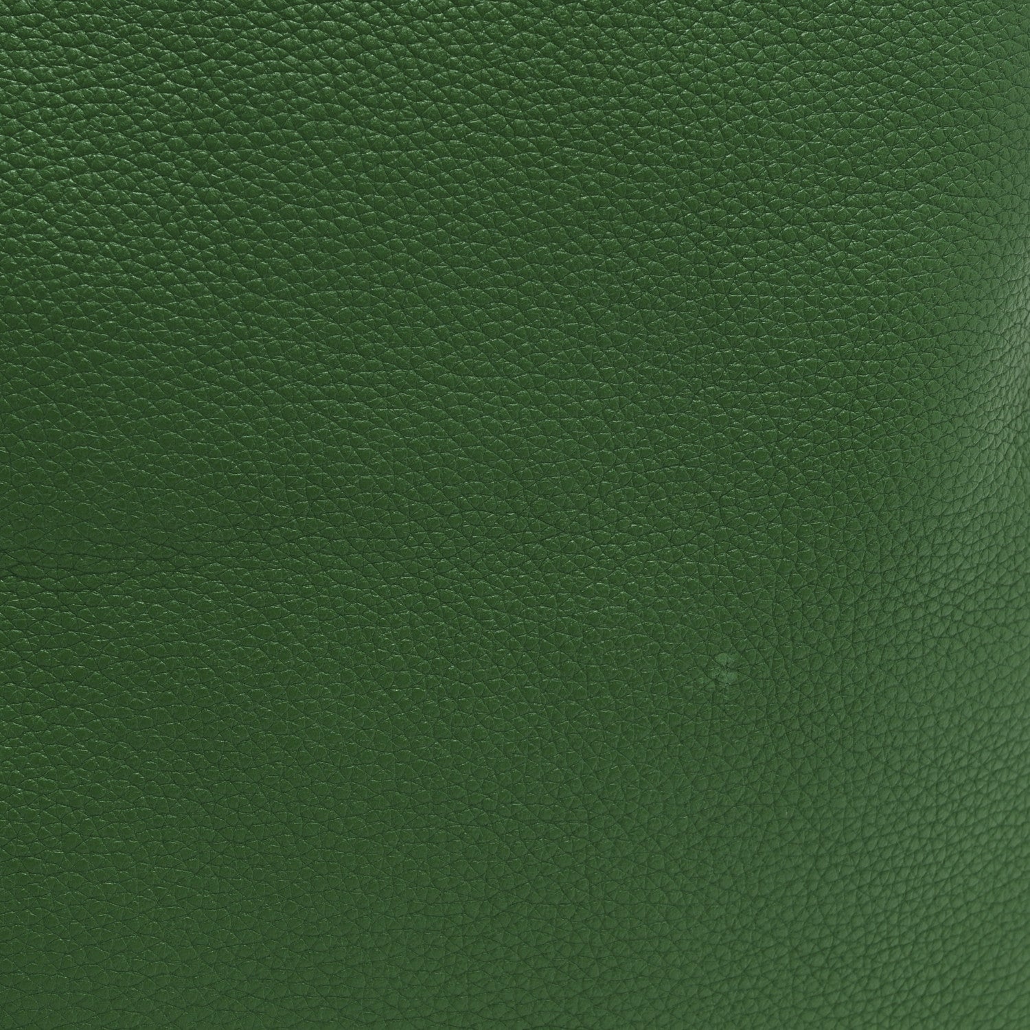 Calfskin Logo Drawstring Backpack Green
