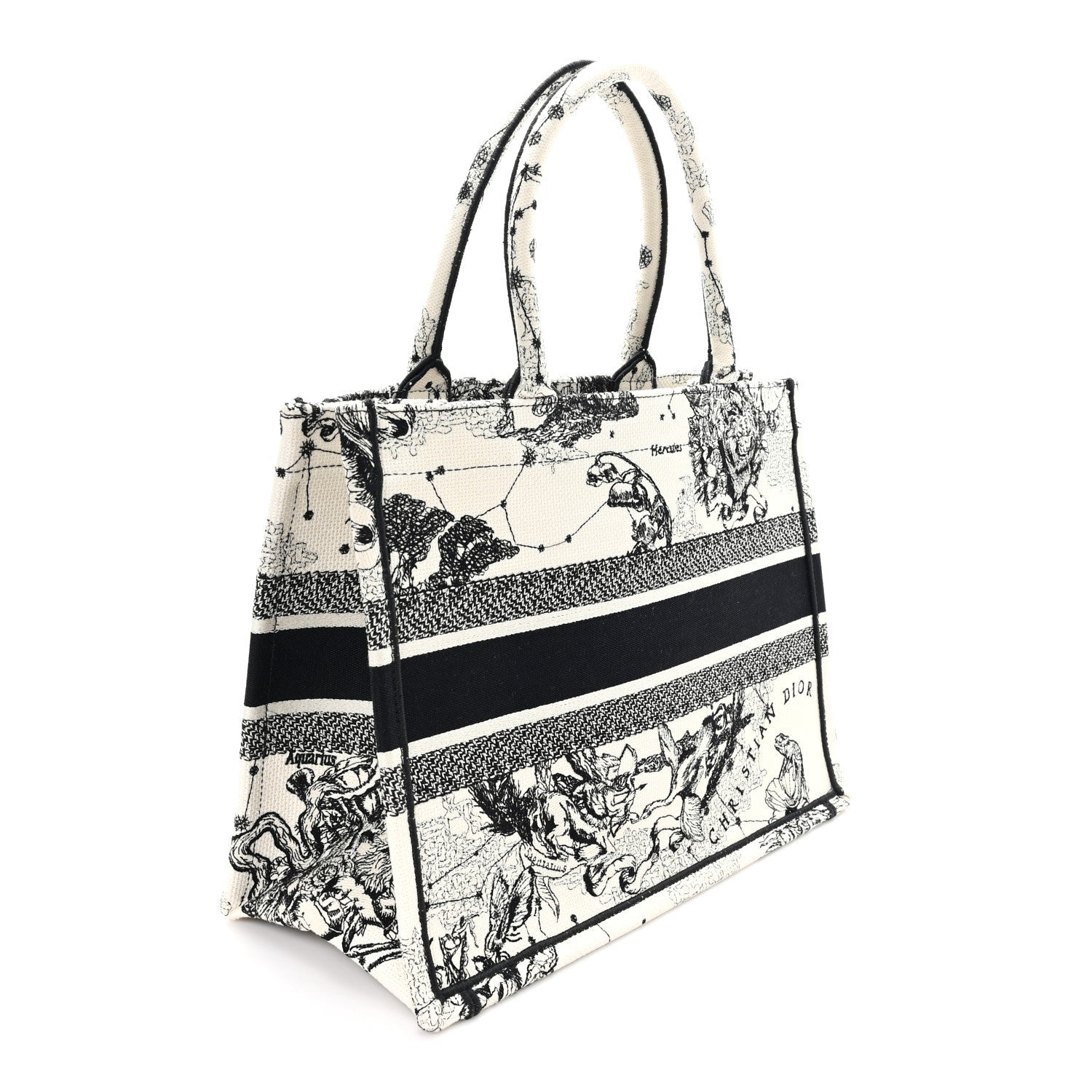 Canvas Zodiac Toile De Jouy Embroidered Medium Book Tote Latte
