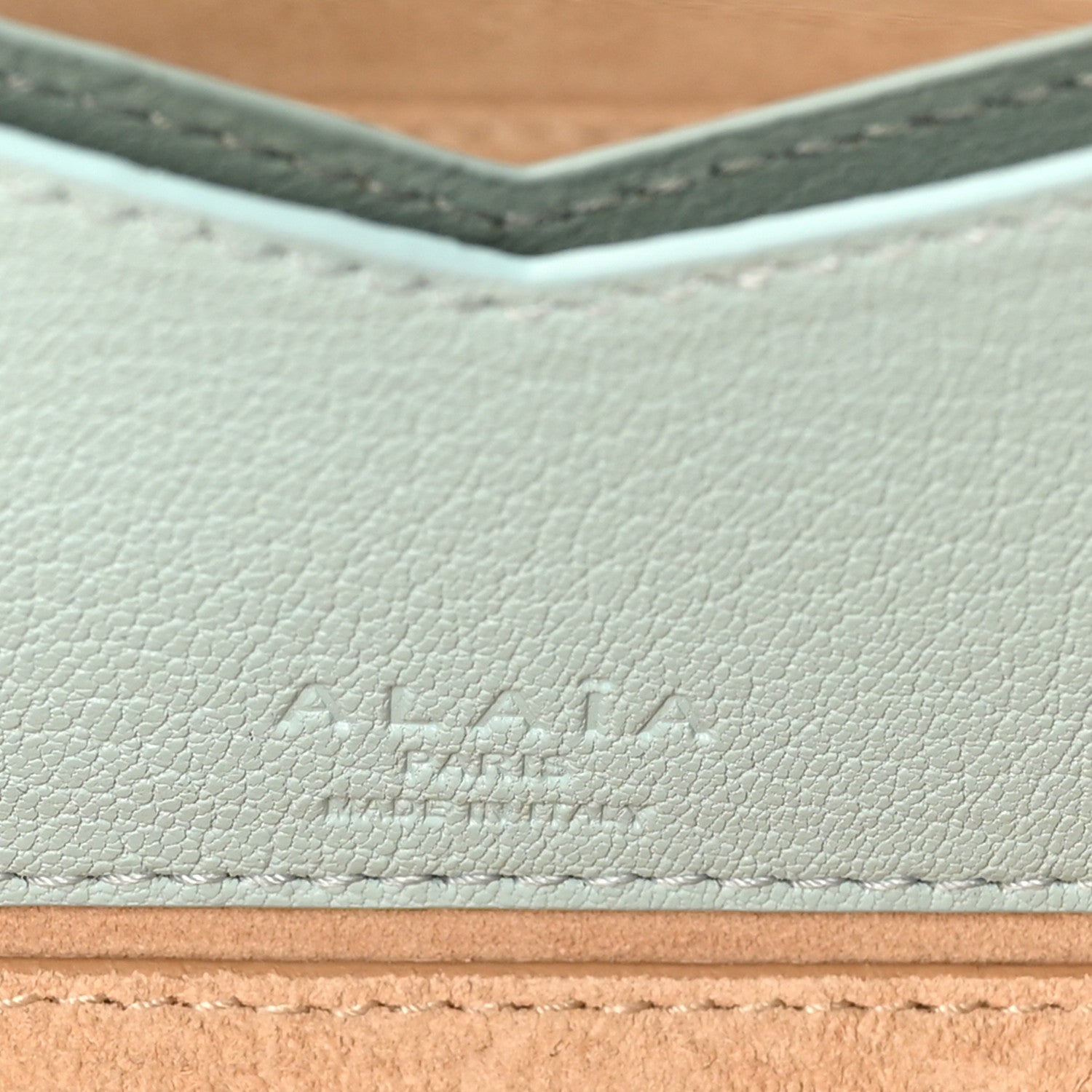 Goatskin Small Le Teckel Bag Lagon