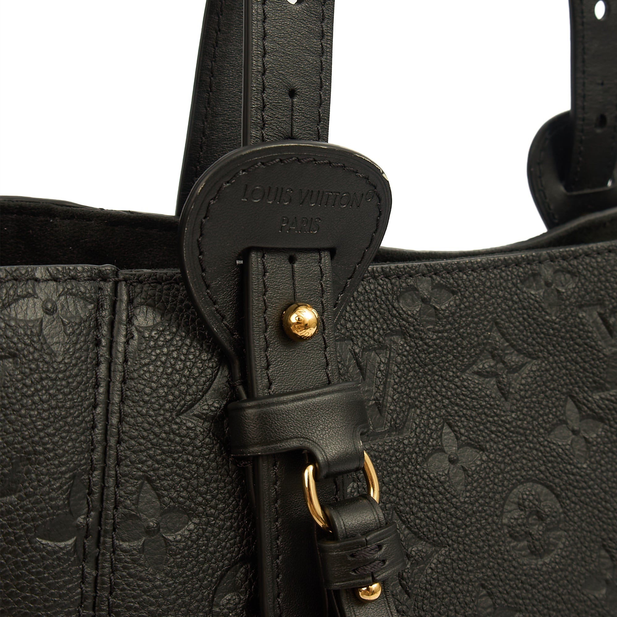 Louis Vuitton Tote All In One PM in Monogram, Empreinte Leather