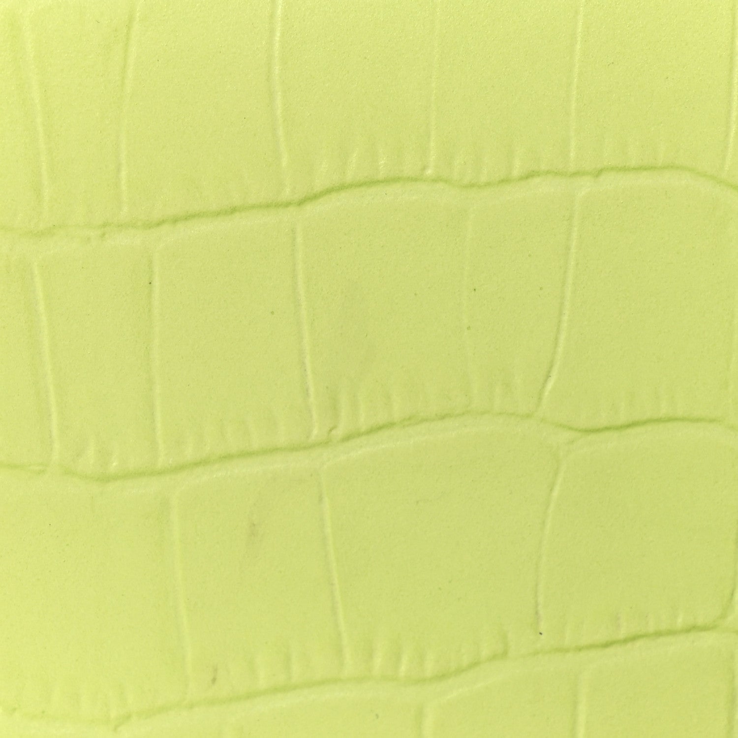 Calfskin Crocodile Embossed Le Chiquito Light Green