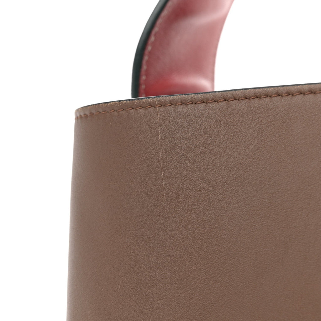 Shiny Smooth Calfskin Small Twisted Cabas Camel Brick