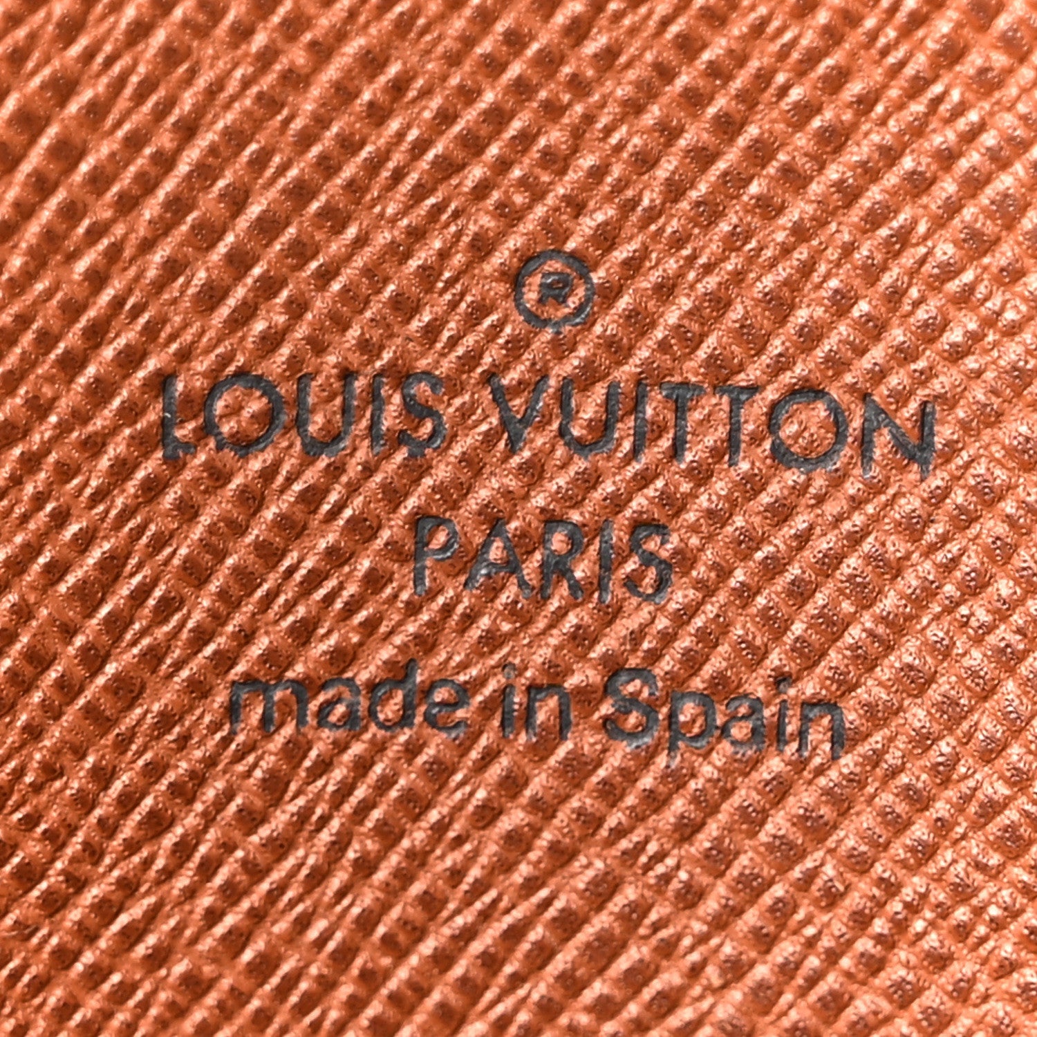 Monogram Musette Salsa