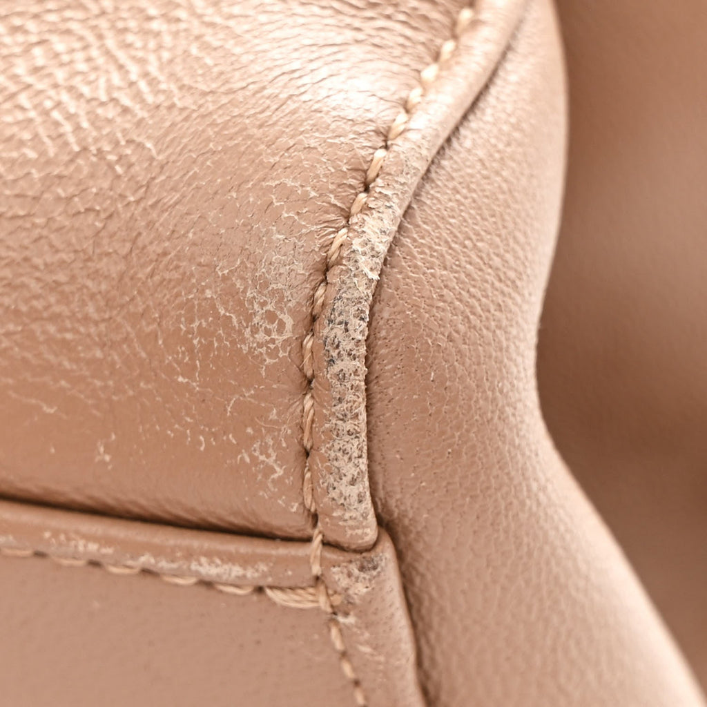Lambskin Mini Protea Bag Biscotto