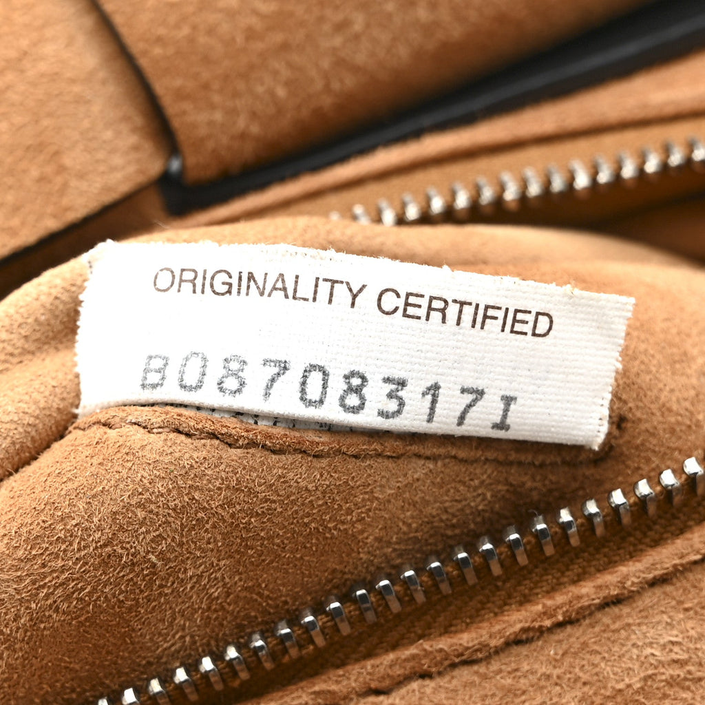 Grained Calfskin Mini Maxi Intrecciato Arco 33 Black