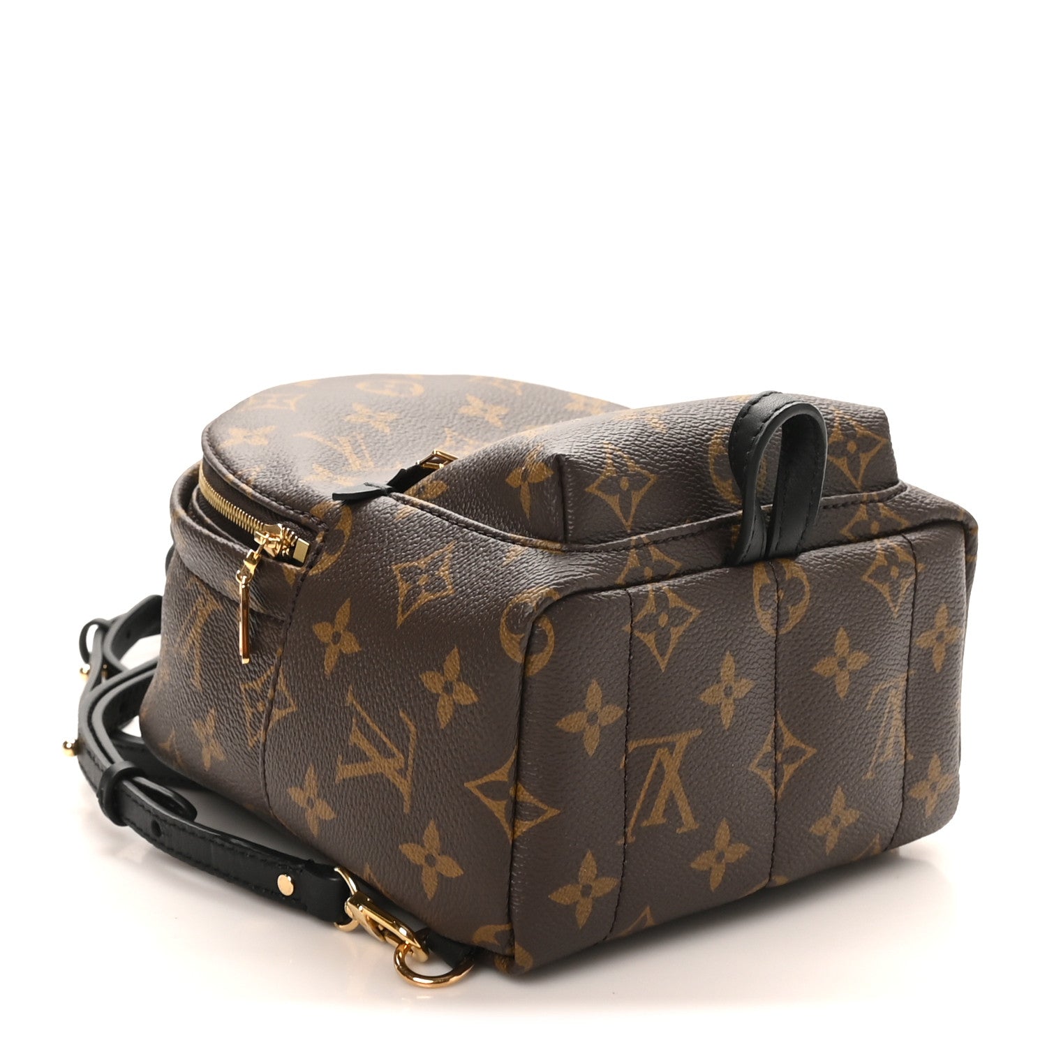 Monogram Palm Springs Backpack Mini