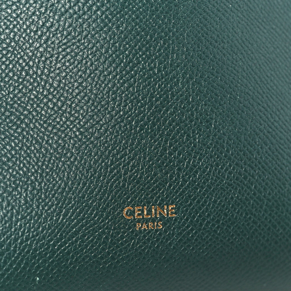 Grained Calfskin Micro Belt Bag Amazone