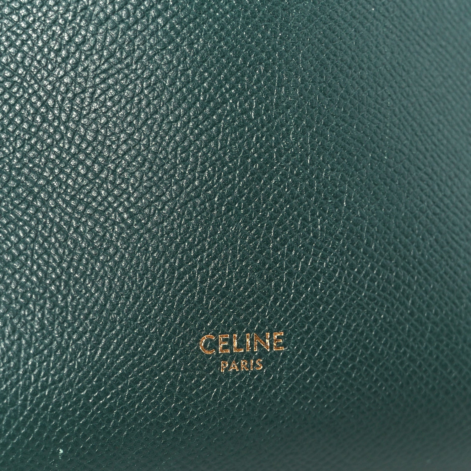 Grained Calfskin Micro Belt Bag Amazone
