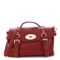 Shrunken Calfskin Medium Alexa Red