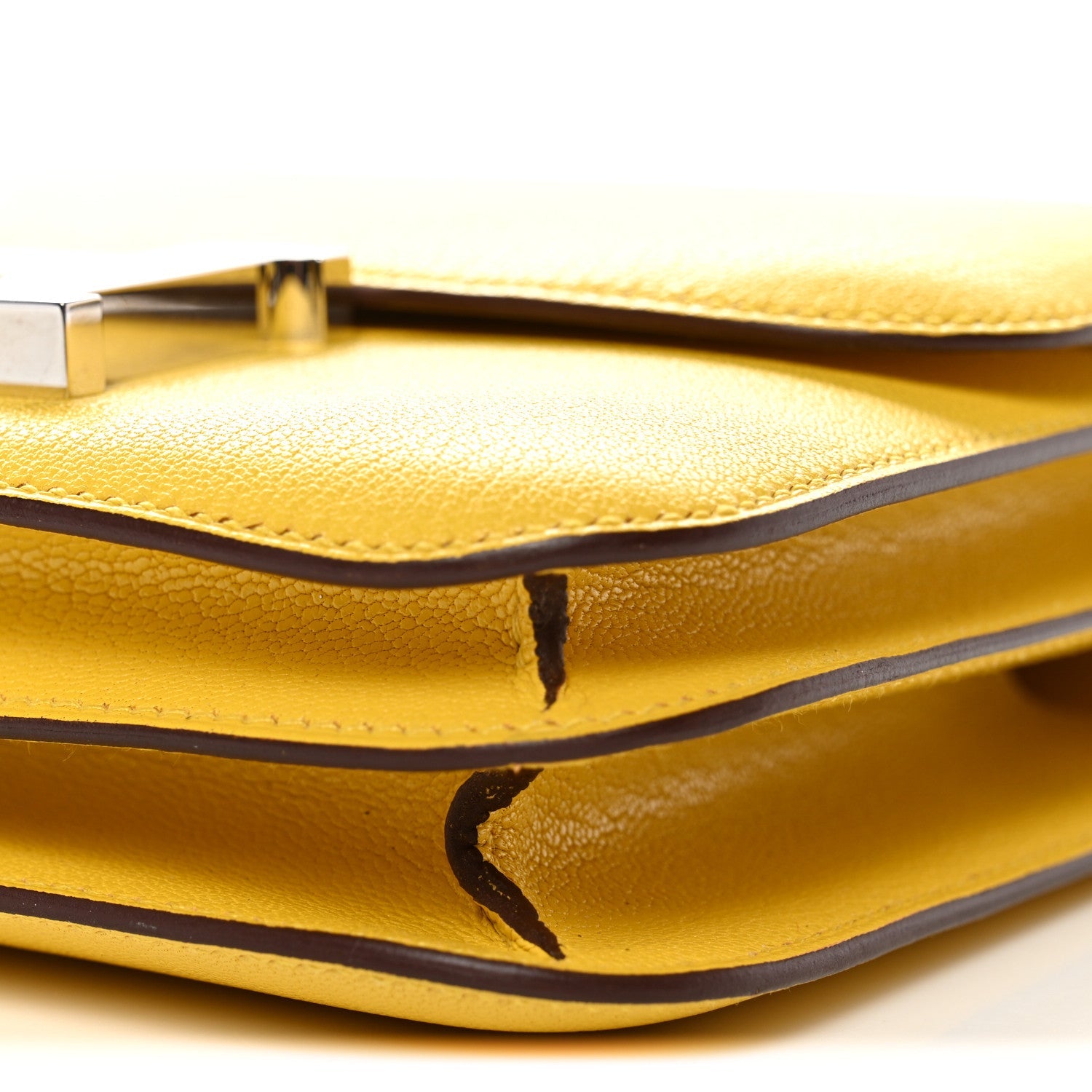 Chevre Mysore Constance 18 Jaune De Naples