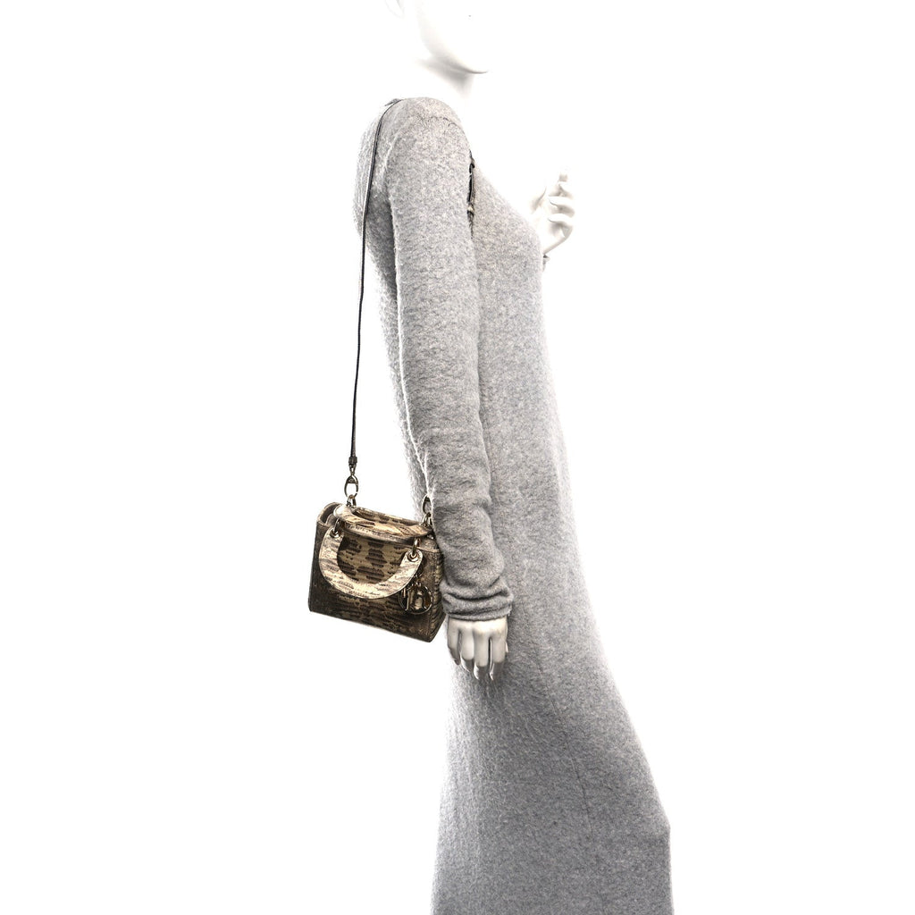Lizard Ombre Mini Lady Dior