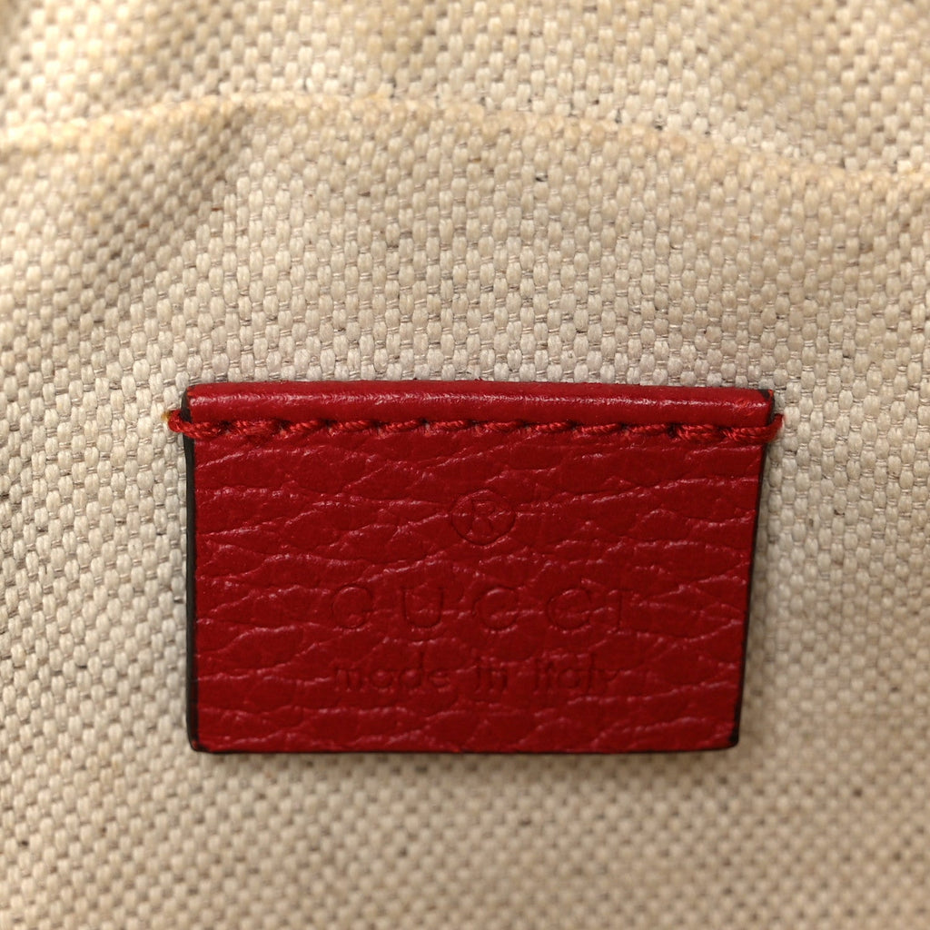 Grained Calfskin Sylvie Web Kingsnake Small Camera Bag Red Multicolor