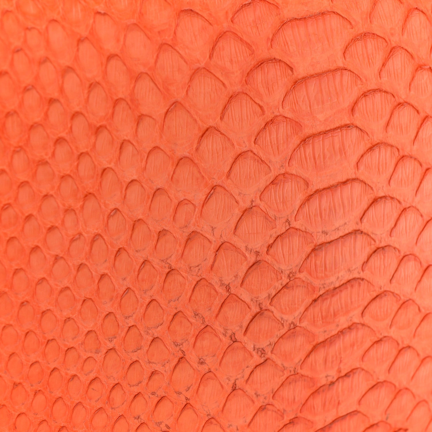 Snakeskin Medium Classic Box Flap Orange