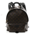 Monogram Palm Springs Backpack MM