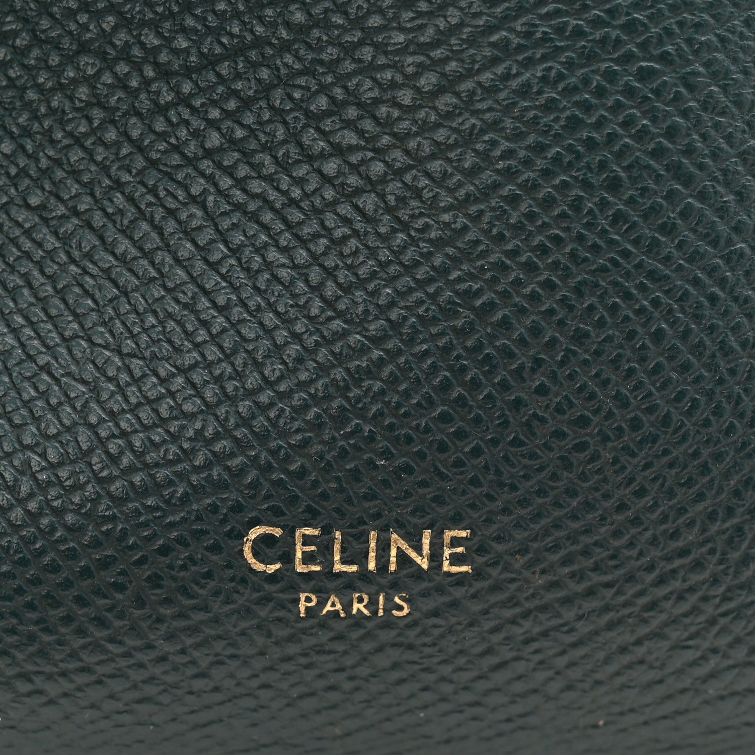 Grained Calfskin Nano Belt Bag Amazone