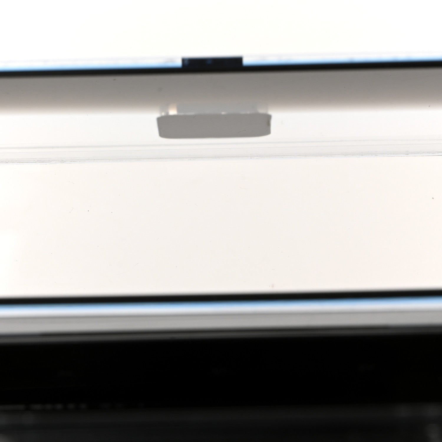 Plexiglass Vitello Mini Baguette Trunk Black Transparent