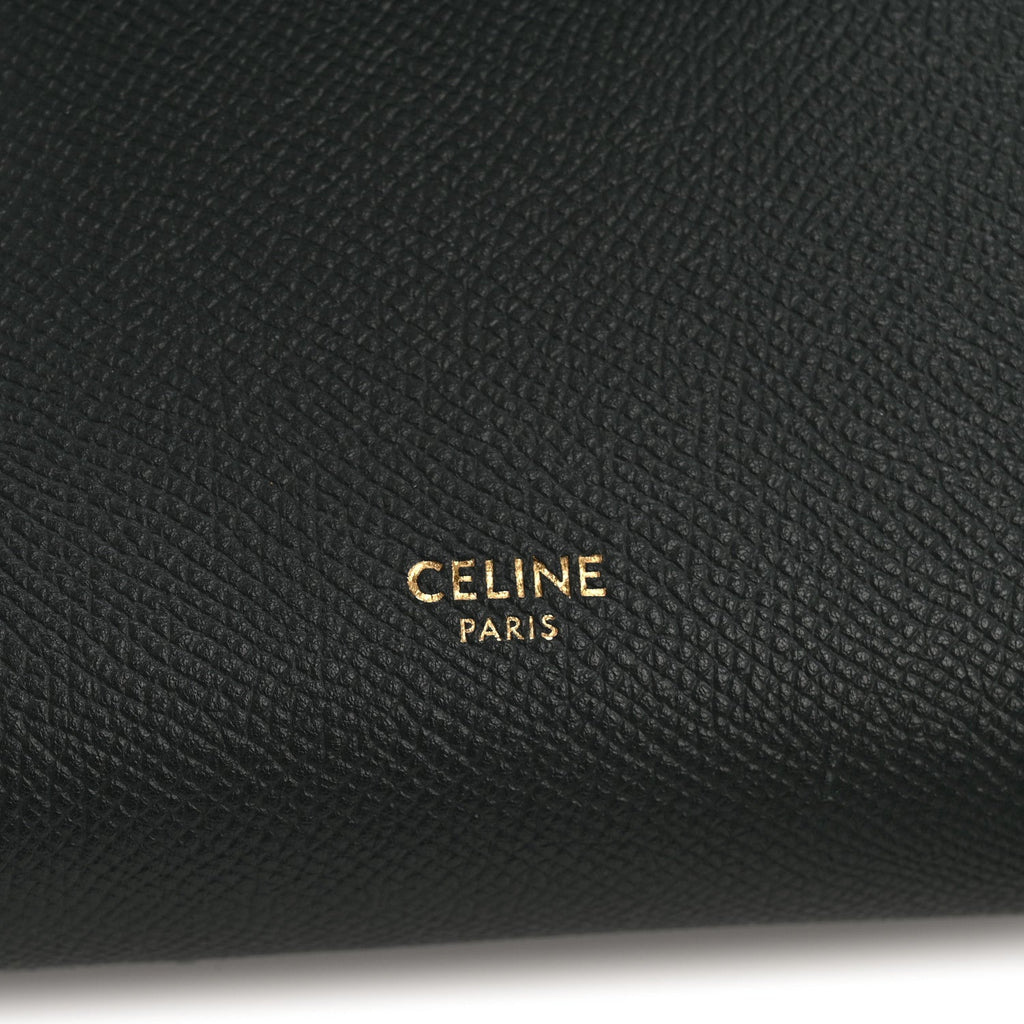 Grained Calfskin Nano Belt Bag Amazone