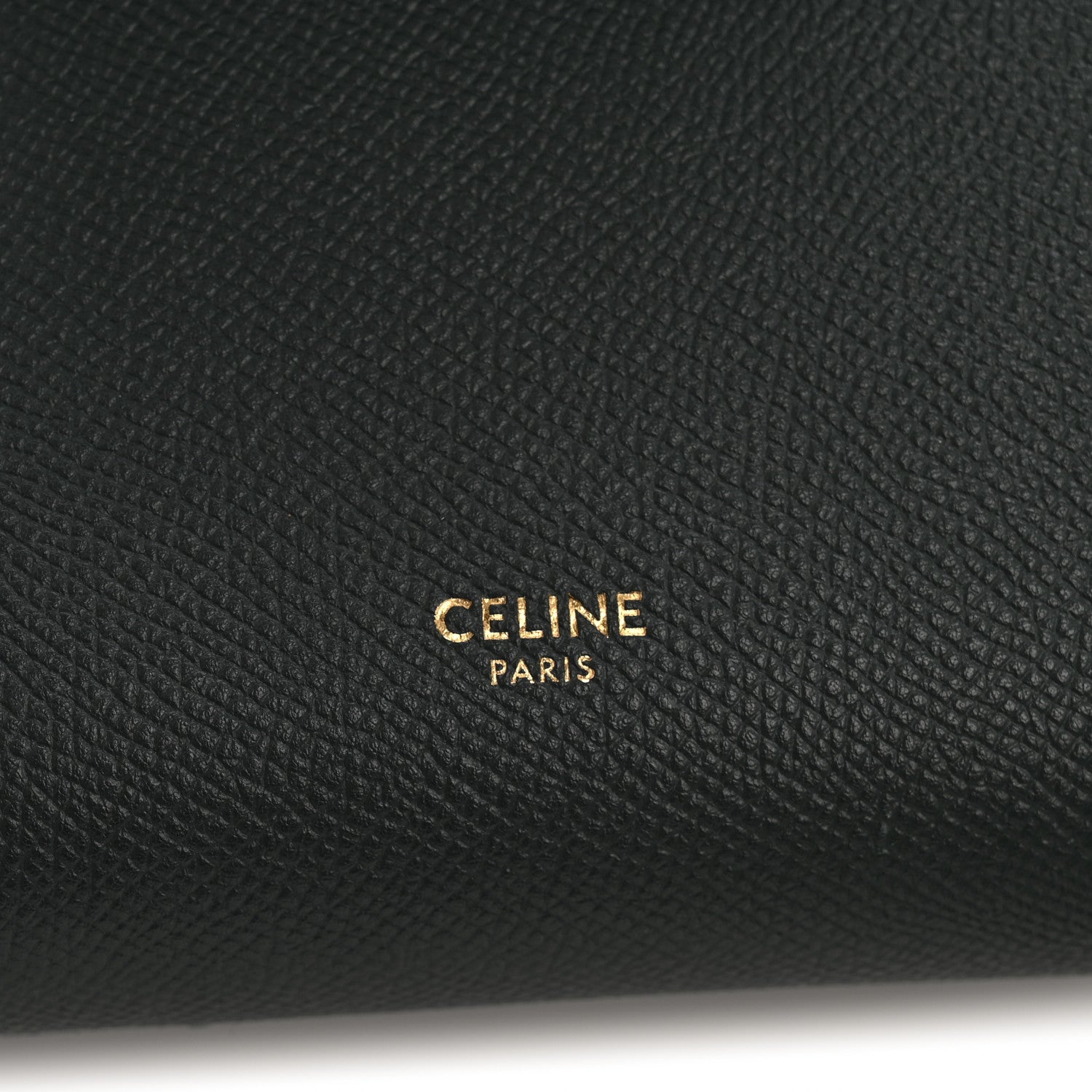 Grained Calfskin Nano Belt Bag Amazone