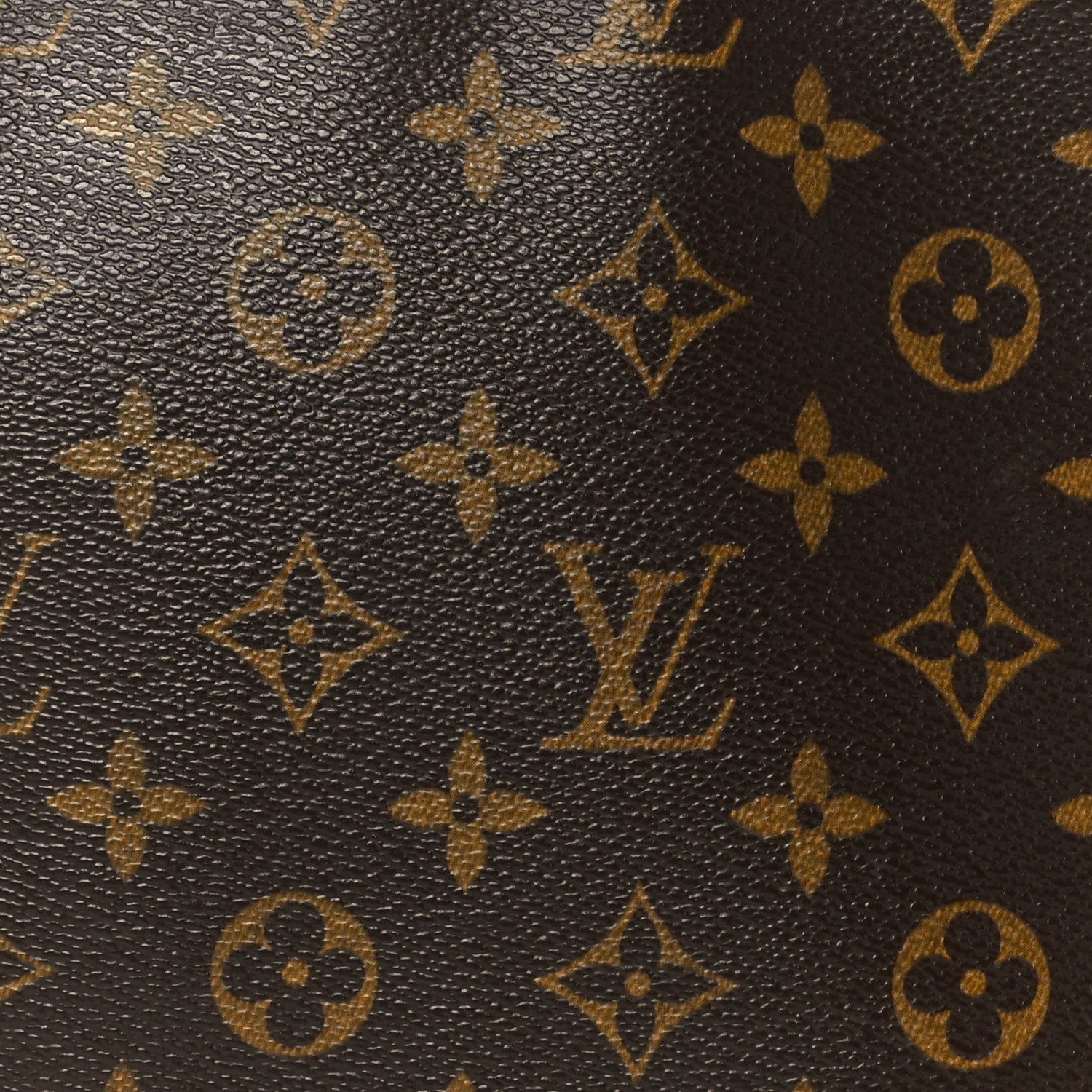 Monogram Looping MM